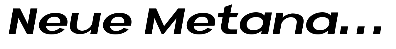 Neue Metana Bold Italic